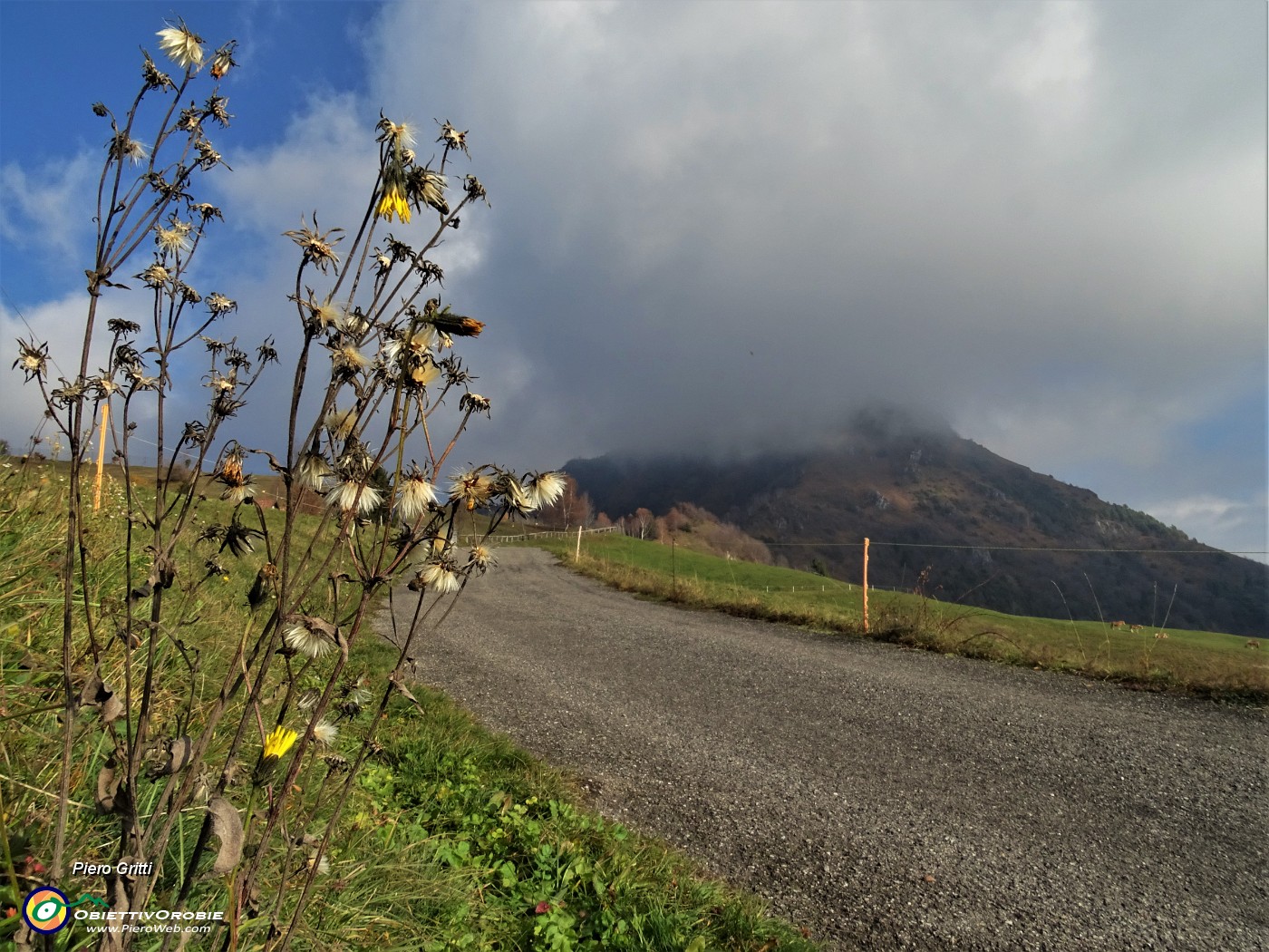 09 Sole sui prati verso la Forcella di Spettino, nuvole in vetta al Monte Gioco.JPG